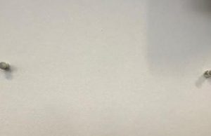 Targa di Sbaraini rimossa, il Brescia Calcio precisa: “Verrà riposizionata”