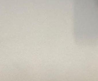 Targa di Sbaraini rimossa, il Brescia Calcio precisa: “Verrà riposizionata”