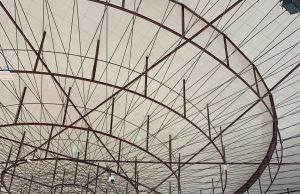 Germani in campo per l’Europa. Al Pala A2A anche Cellino