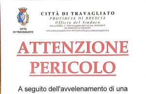 Travagliato, grave famiglia avvelenata da funghi. Emanata l’allerta ai cittadini
