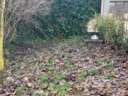 Bedizzole, fermato l’assassino di Francesca Fantoni. Sotto torchio da ore