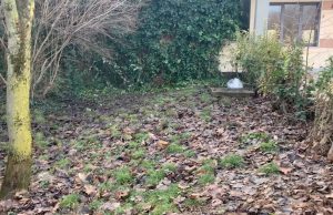 Bedizzole, fermato l’assassino di Francesca Fantoni. Sotto torchio da ore