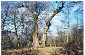 Coronavirus, via della Maddalena e via Panoramica CHIUSE nel week end