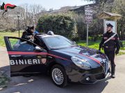 Carpenedolo, rubavano biciclette e le vendevano on line. Nei guai tre minorenni