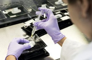 L’Italia registra il più basso numero di decessi dal 14 marzo, oltre 80 mila i guariti dal Covid-19