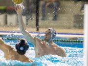 Rivoluzione AN Brescia: Bertoli-Guerrato, addio vicino?