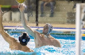 Rivoluzione AN Brescia: Bertoli-Guerrato, addio vicino?