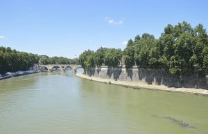 Roma: aereo biposto precipita nel Tevere