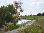 Brescia: riaperti tutti i parchi cittadini