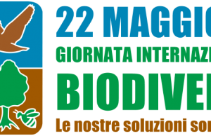 Oggi è la Giornata mondiale della biodiversità