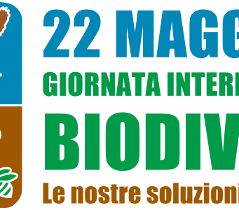 Oggi è la Giornata mondiale della biodiversità