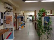 Banche, da lunedì in filiale anche senza appuntamento