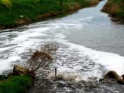 Legambiente, fiumi inquinati per il 60%: dossier su Brescia e Cremona