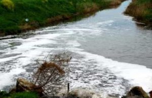 Legambiente, fiumi inquinati per il 60%: dossier su Brescia e Cremona