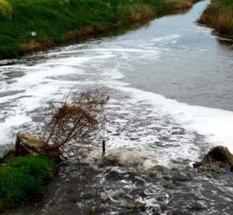Legambiente, fiumi inquinati per il 60%: dossier su Brescia e Cremona
