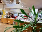 Alla biblioteca del parco Gallo si prova il prestito a domicilio