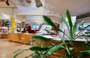 Alla biblioteca del parco Gallo si prova il prestito a domicilio