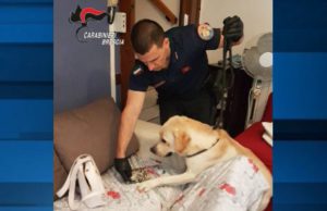 Capo di Ponte. Spacciatore pregiudicato in manette