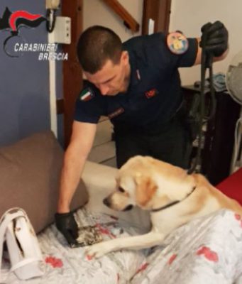 Capo di Ponte. Spacciatore pregiudicato in manette