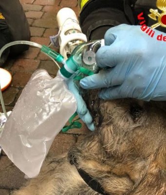 Incendio a Iseo: i Vigili del Fuoco rianimano un cane