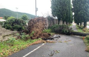 Cimitero di Botticino: i cipressi non hanno resistito alla tromba d’aria