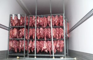 Carne trasportata in condizioni pessime. Due casi scoperti dalla Stradale