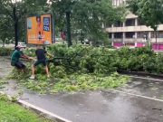 Via Malta liberata da alcuni cittadini che hanno spostato il ramo sradicato dal maltempo VIDEO