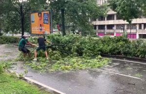 Via Malta liberata da alcuni cittadini che hanno spostato il ramo sradicato dal maltempo VIDEO