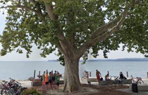 Residuo bellico a Toscolano: spiaggia Piantù chiusa
