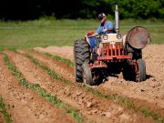 Regione Lombardia: 20 milioni a fondo perduto per il comparto agricolo