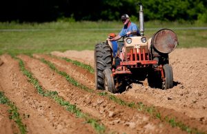 Consumo di suolo, Lombardia maglia nera italiana
