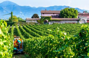 Inaugurata la nuova sede del Consorzio Franciacorta