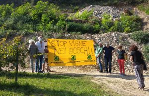 Legambiente contro la trasformazione delle colline in vigneti nella Franciacorta