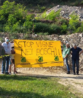 Legambiente contro la trasformazione delle colline in vigneti nella Franciacorta