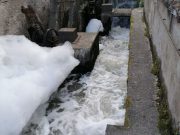 Liquami nella roggia, il Sindaco cerca i colpevoli