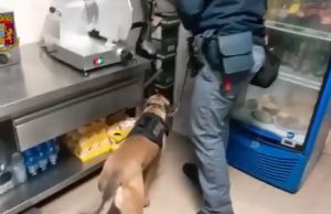 Chili di droga e 200mila euro in contanti, la Polizia blocca maxi business dello spaccio