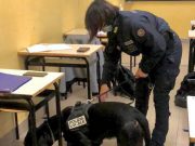 Controlli antidroga negli istituti superiori di Lumezzane