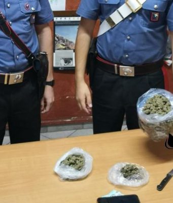 Spacciatore incastrato da due piantine di cannabis in giardino