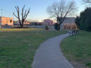 Presentato il progetto di bonifica del parco Parenzo sud-est