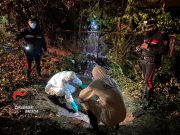 Trovato il corpo di Victoriia. L’ex compagno l’ha seppellito nella ex bocciofila IL VIDEO