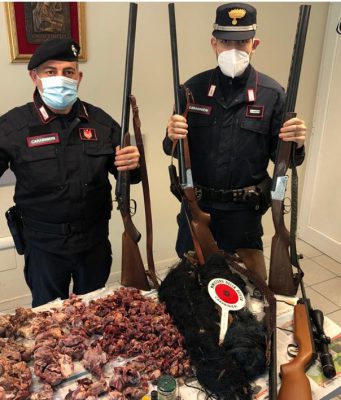 Reti, trappole, volatili proibiti nel congelatore e hashish, nei guai bracconiere valsabbino