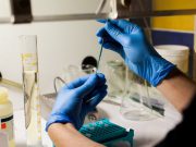 Pfizer e BioNTech chiederanno l’autorizzazione per l’uso d’emergenza del vaccino