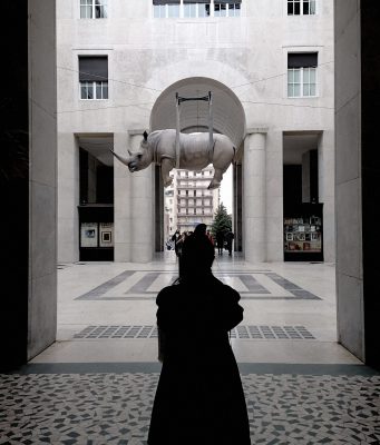 “Il peso del tempo sospeso”, il rinoceronte che stupisce al Quadroportico
