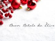 Buon Natale, da tutti noi di ÈliveBrescia
