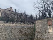 Chiuse le votazioni del Fai, Castello sul podio con oltre 35mila voti