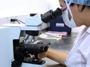 Nuova variante del Covid, Palù (Aifa): “Non ci sono dati per sostenere che sia più aggressiva”