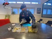 Produzione, traffico, detenzione e spaccio di cocaina e marijuana. 12 persone dei guai