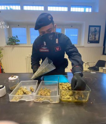 Produzione, traffico, detenzione e spaccio di cocaina e marijuana. 12 persone dei guai