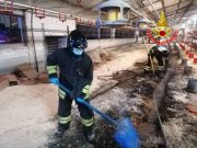 6000 tacchini morti soffocati nell’incendio dell’azienda avicola di Alfianello