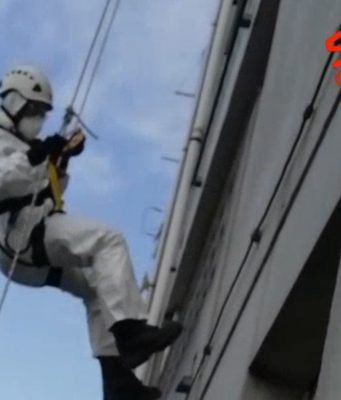 Per liberarla i Vigili del Fuoco si calano dal tetto